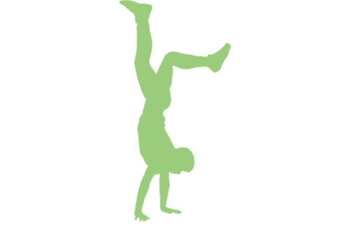 výzva 6